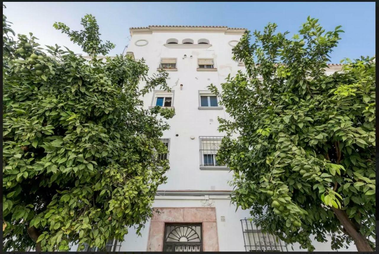 Apartamento Milagros 110 M2 Малага Экстерьер фото